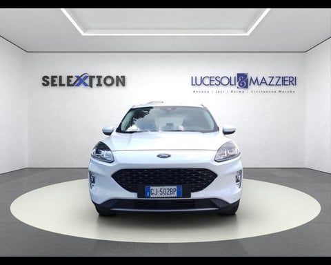 Auto Usate A Ancona | Ford Kuga 3ª Serie 1.5 Ecoblue 120 Cv 2Wd Connect