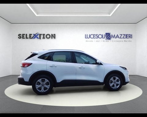 Auto Usate A Ancona | Ford Kuga 3ª Serie 1.5 Ecoblue 120 Cv 2Wd Connect