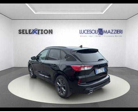 Auto Usate A Ancona | Ford Kuga 3ª Serie 1.5 Ecoblue 120 Cv 2Wd St-Line