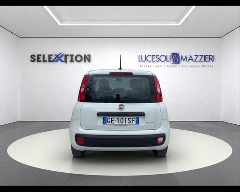Auto Usate A Ancona | Fiat Panda 1.0 Firefly S&S Hybrid