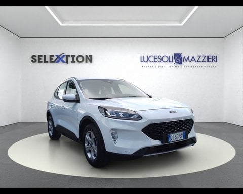Auto Usate A Ancona | Ford Kuga 3ª Serie 1.5 Ecoblue 120 Cv 2Wd Connect