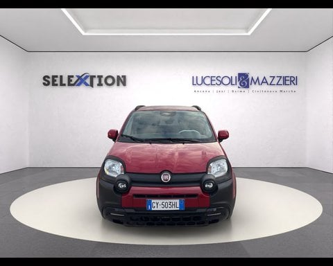 Auto Usate A Ancona | Fiat Panda Cross 1.0 Firefly S&S Hybrid