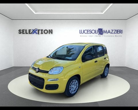 Auto Km0 A Ancona | Fiat Pandina My26 1.0 65Cv Hybrid Pop