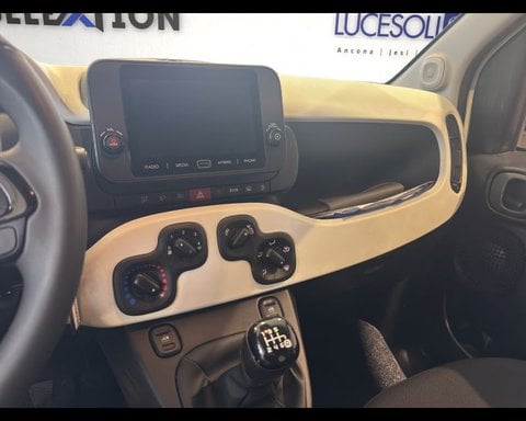 Auto Usate A Ancona | Fiat Panda 1.0 Firefly S&S Hybrid City Cross