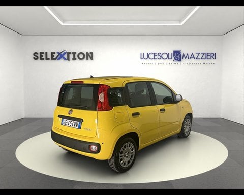 Auto Usate A Ancona | Fiat Pandina 1.0 Firefly 65 Cv Hybrid Pop