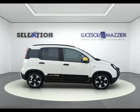 Auto Usate A Ancona | Fiat Panda Cross 1.0 Firefly S&S Hybrid