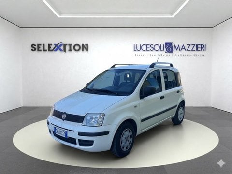 Auto Usate A Ancona | Fiat Panda 1.2 Mylife