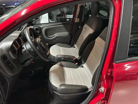 Auto Usate A Napoli | Fiat Panda Iii 1.0 Firefly Hybrid City Life S&S 70Cv