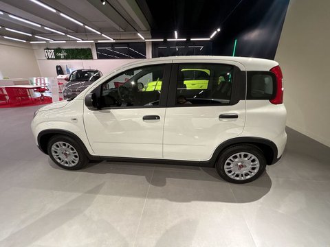 Auto Fiat Panda 1.0 Firefly S&S Hybrid Km0 A Macerata