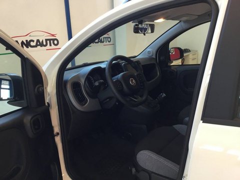 Auto Fiat Panda 1.0 Hybrid City Life Promo -1000 Usate A Verona
