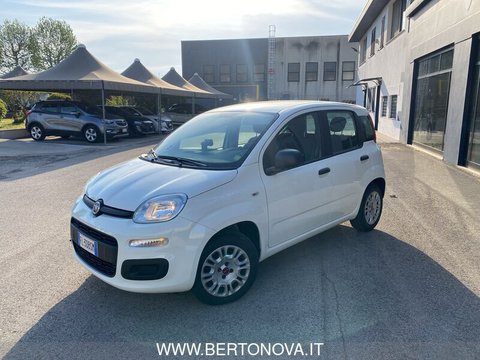 Auto Fiat Panda 1.2 Easypower Easy Usate A Vicenza