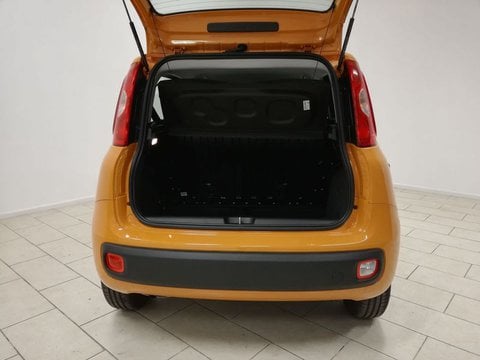 Auto Fiat Panda 3ª Serie 1.0 Firefly S&S Hybrid Usate A Torino