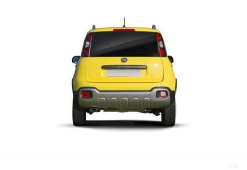 Auto Usate A Pescara | Fiat Panda Cross Panda Iii 2021 Cross Panda 1.0 Firefly Hybrid Cross S&S 7...