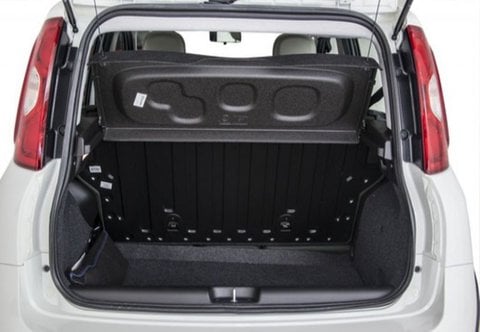 Auto Usate A Pescara | Fiat Panda Iii 2016 4X4 0.9 T.air T. 4X4 S&S 85Cv My19