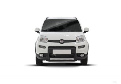 Auto Usate A Pescara | Fiat Panda Iii 2016 4X4 0.9 T.air T. 4X4 S&S 85Cv My19