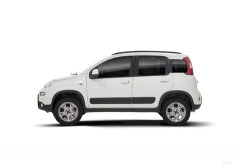 Auto Usate A Pescara | Fiat Panda Iii 2016 4X4 0.9 T.air T. 4X4 S&S 85Cv My19