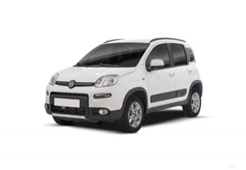 Auto Usate A Pescara | Fiat Panda Iii 2016 4X4 0.9 T.air T. 4X4 S&S 85Cv My19