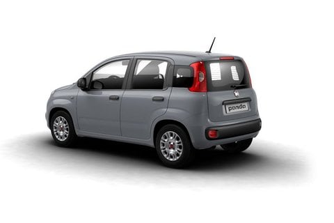 Auto Usate A Pescara | Fiat Panda Iii 2021 1.0 Firefly Hybrid City Life S&S 70Cv 5P.ti