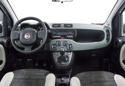 Auto Usate A Pescara | Fiat Panda Iii 2016 4X4 0.9 T.air T. 4X4 S&S 85Cv My19