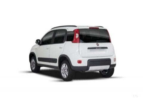 Auto Usate A Pescara | Fiat Panda Iii 2016 4X4 0.9 T.air T. 4X4 S&S 85Cv My19