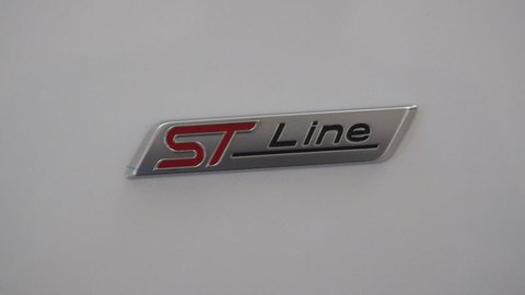 Auto Ford Puma 1.5 Ecoblue 120 Cv S&S St-Line Usate A Torino
