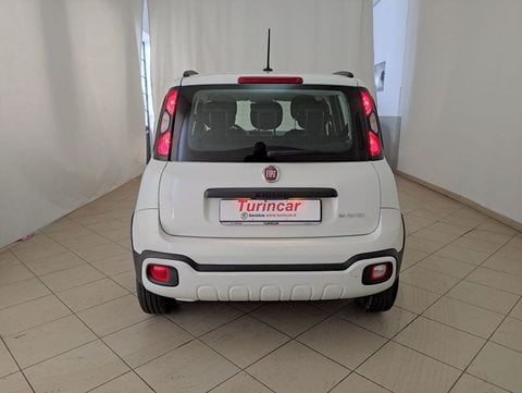Auto Fiat Panda 1.0 Firefly S&S Hybrid City Cross Usate A Torino