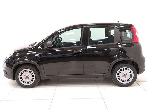 Auto Fiat Panda 1.0 Firefly Hybrid S&S 70Cv Nuove Pronta Consegna A Vicenza
