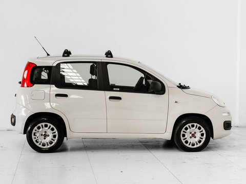 Auto Fiat Panda Panda 1.2 Easy Usate A Prato