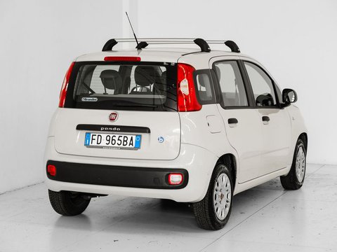 Auto Fiat Panda Panda 1.2 Easy Usate A Prato