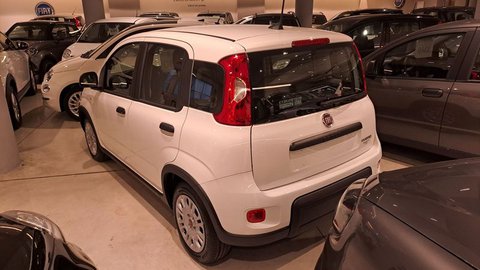 Auto Fiat Panda 1.0 Firefly S&S Hybrid 1 Veicoli Disponibili Pronta Consegna Km0 A Verona