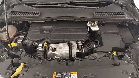 Auto Ford Kuga Ii 2017 1.5 Tdci Titanium S&S 2Wd 120Cv Usate A Catania