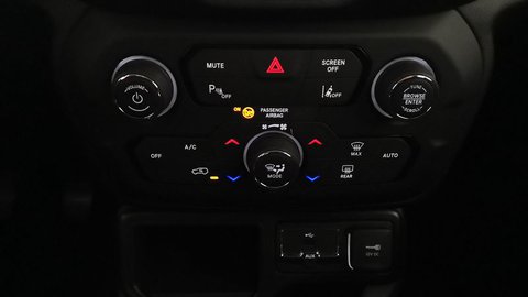 Auto Jeep Renegade 2019 1.6 Mjt Limited 2Wd 130Cv Usate A Catania