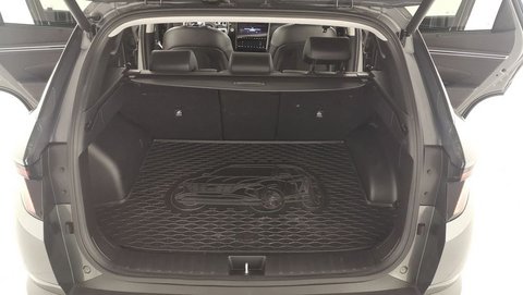 Auto Hyundai Tucson Iii 2021 1.6 Hev Exellence Leather Pack 2Wd Auto Usate A Catania