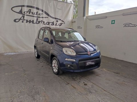 Auto Fiat Panda 1.2 Lounge Da 110,00 Al Mese Usate A Napoli
