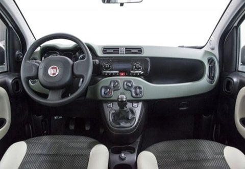 Auto Fiat Panda Iii 2016 4X4 1.3 Mjt 16V 4X4 S&S 95Cv Usate A Frosinone