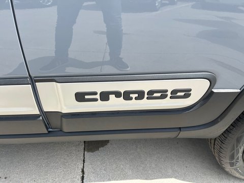 Auto Fiat Panda Cross 0.9 Twinair Turbo 85Cv S&S 4X4 Cross Usate A Frosinone