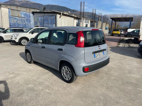 Auto Fiat Panda 1.0 70Cv Hybrid Panda Usate A Frosinone