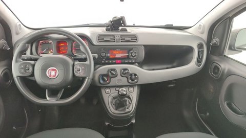 Auto Fiat Panda Cross 1.0 Firefly S&S Hybrid Usate A Bolzano