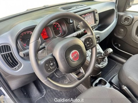 Auto Usate A Avellino | Fiat Panda 1.0 70Cv Hybrid Cross
