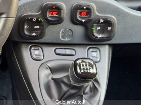 Auto Usate A Avellino | Fiat Panda 1.0 70Cv Hybrid Cross