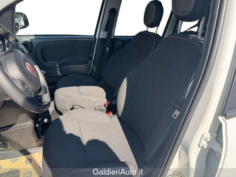 Auto Usate A Avellino | Fiat Panda 1.0 70Cv Hybrid Cross