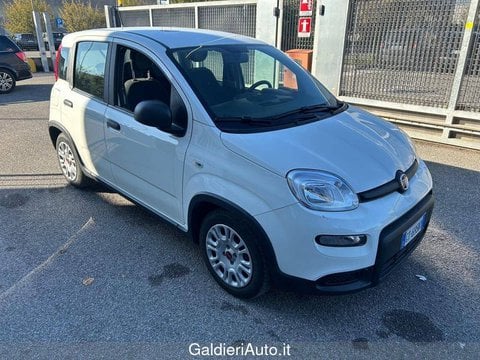 Auto Usate A Avellino | Fiat Panda My24 1.0 70Cv Hybrid Panda