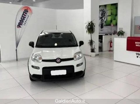 Auto Usate A Avellino | Fiat Panda 1.0 70Cv Hybrid Panda