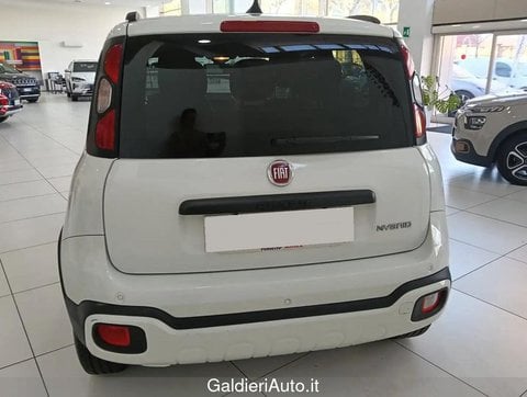 Auto Usate A Avellino | Fiat Panda 1.0 70Cv Hybrid Cross