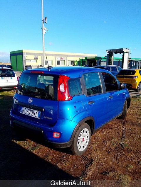 Auto Usate A Avellino | Fiat Panda My24 1.0 70Cv Hybrid Panda