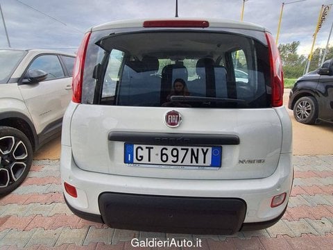 Auto Usate A Avellino | Fiat Panda My24 1.0 70Cv Hybrid Panda