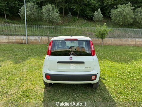 Auto Usate A Avellino | Fiat Pandina 1.0 65Cv Hybrid Icon