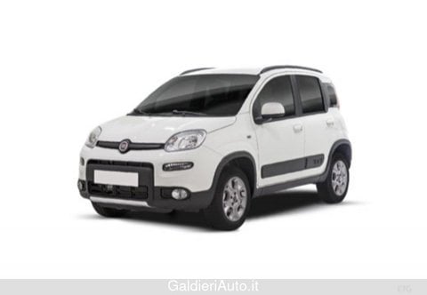 Auto Usate A Salerno | Fiat Panda Iii 2021 4X4 0.9 T.air T. Wild 4X4 S&S 85Cv 5P.ti