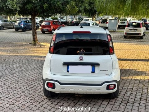 Auto Usate A Avellino | Fiat Panda 1.0 70Cv Hybrid Cross