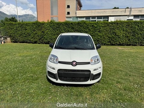 Auto Usate A Avellino | Fiat Pandina 1.0 65Cv Hybrid Icon